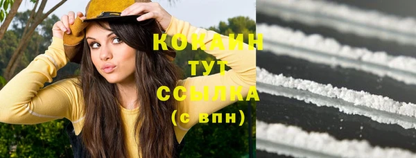 индика Вязники