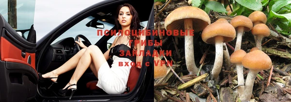 индика Вязники