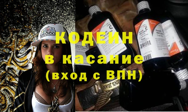 индика Вязники