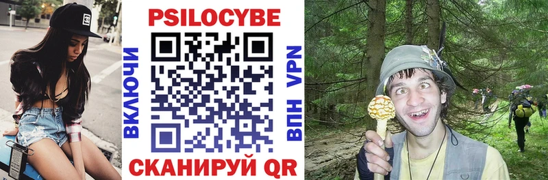 купить  сайты  кракен онион  Псилоцибиновые грибы Cubensis  Новоалтайск 